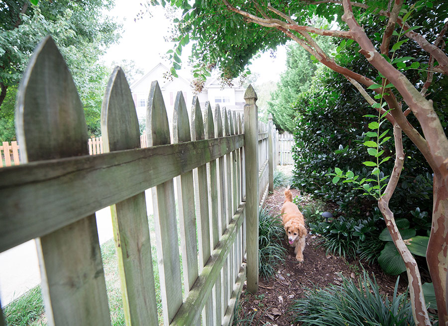 Fence Installation in Pennsylvania