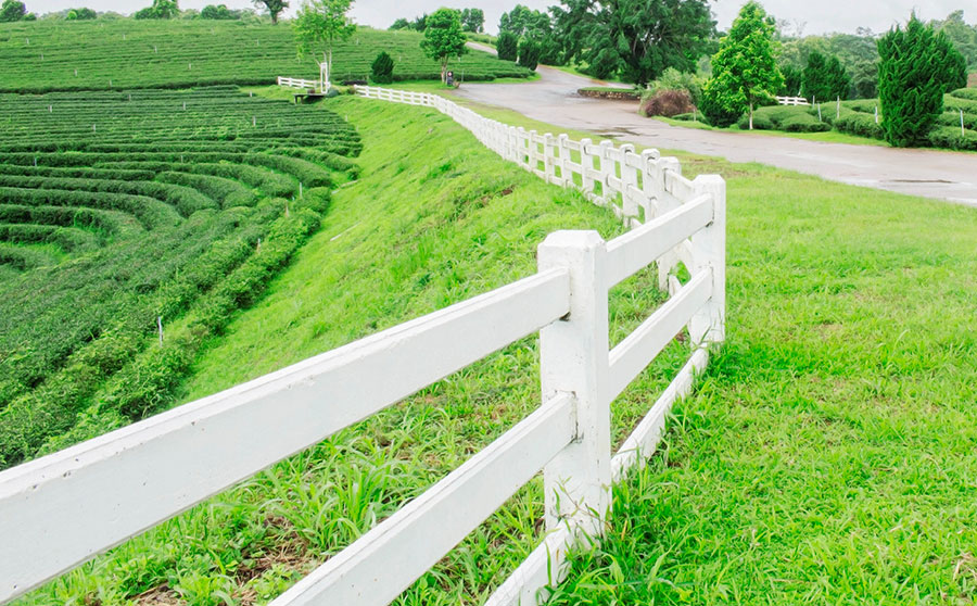 Fence Installation in Micco Florida