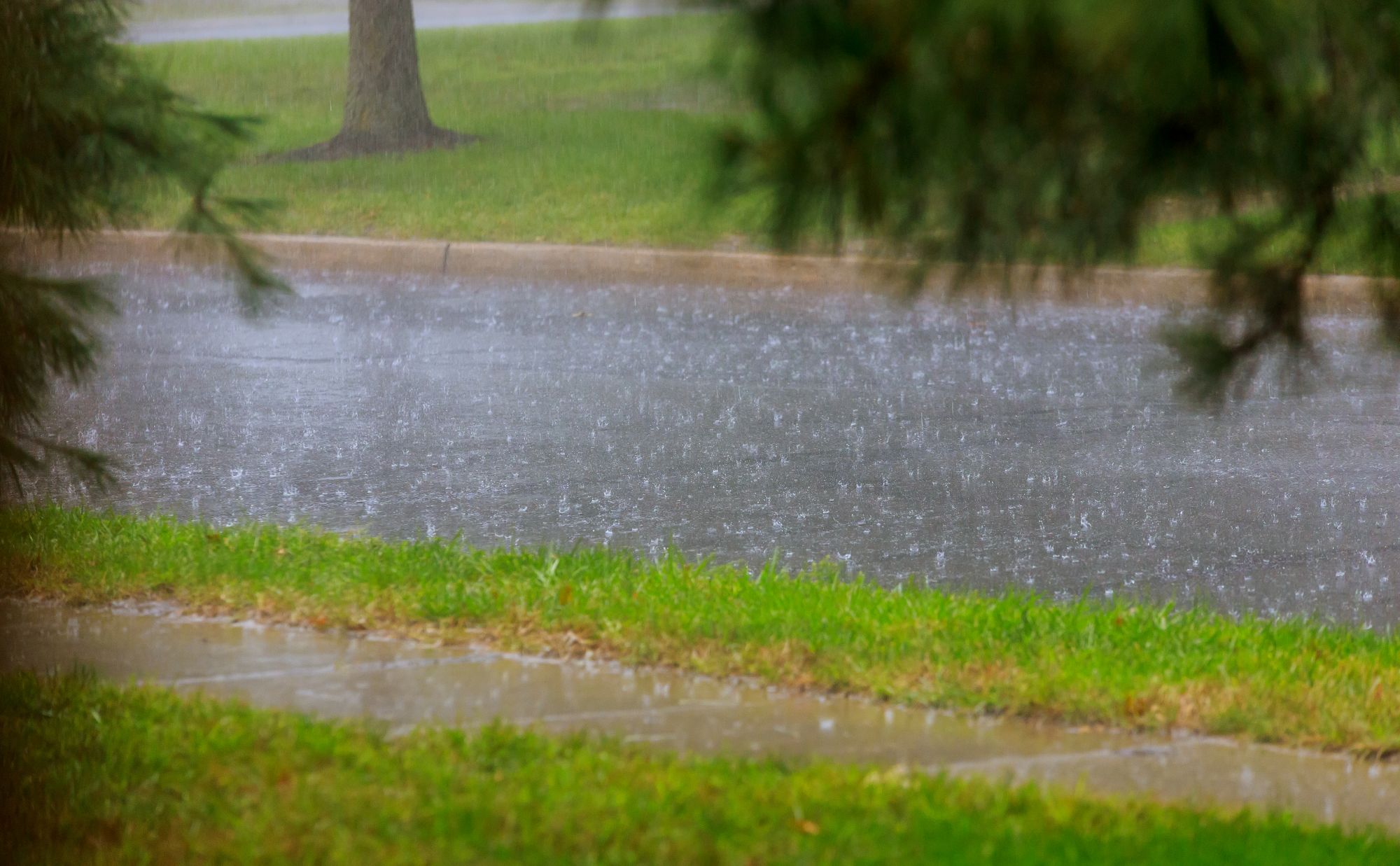 Fence Installation in Micco Florida